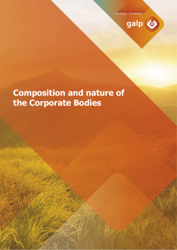 powers and nature of Galp`s main corporate bodies and its meetings