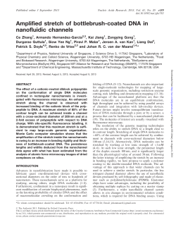 Amplified stretch of bottlebrush-coated DNA in nanofluidic channels