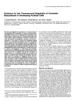 Evidence for the Transneuronal Regulation of Cerebellin