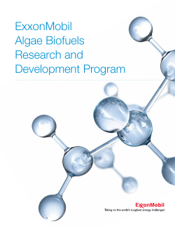 ExxonMobil Algae Biofuels Research and Development Program