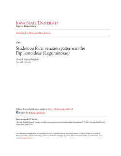 Studies on foliar venation patterns in the Papilionoideae