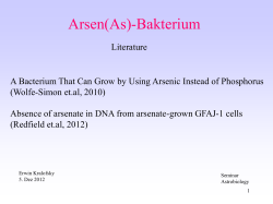 Arsen(As)-Bakterium