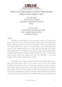 portrayal of 1980s american society through john updike`s novel