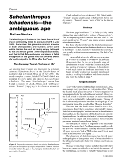 Sahelanthropus tchadensis&mdash;the ambiguous ape