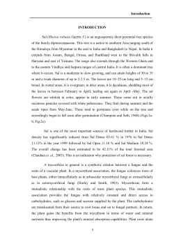 Introduction INTRODUCTION Sal (Shorea robusta Gaertn. f.) is an