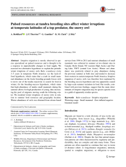 Pulsed resources at tundra breeding sites affect winter irruptions at