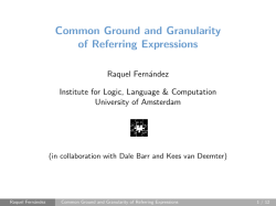 Common Ground and Granularity of Referring