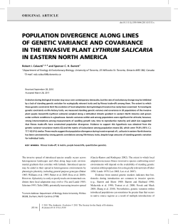 POPULATION DIVERGENCE ALONG LINES OF GENETIC