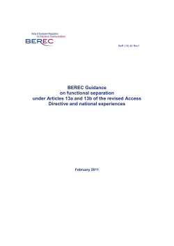 Guidance on functional separation - berec