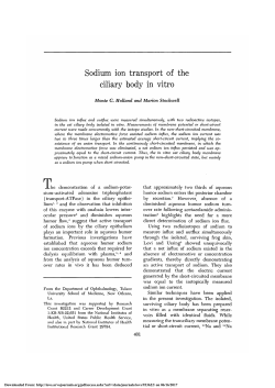Sodium Ion Transport of the Ciliary Body in Vitro