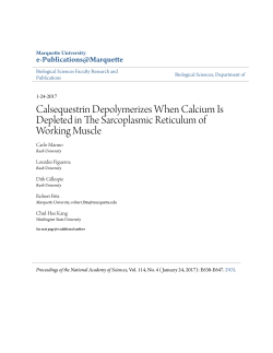 Calsequestrin Depolymerizes When Calcium Is Depleted in The