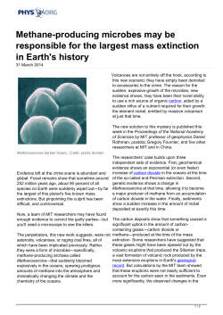 Methane-producing microbes may be responsible for the largest