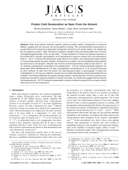 Protein Cold Denaturation as Seen From the Solvent