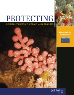 Protecting British Columbia`s Corals and Sponges