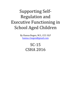 Supporting Self- Regulation and Executive Functioning