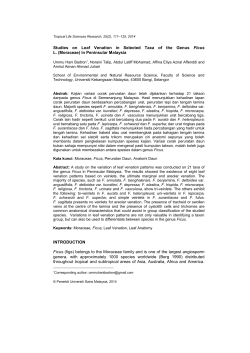 Studies on Leaf Venation in Selected Taxa of the Genus Ficus L