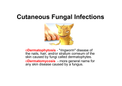 Cutaneous Fungal Infections