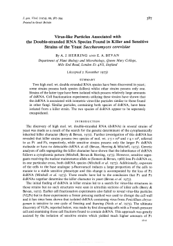 Strains of the Yeast Saccharomyces cerevisiae Department of Plant