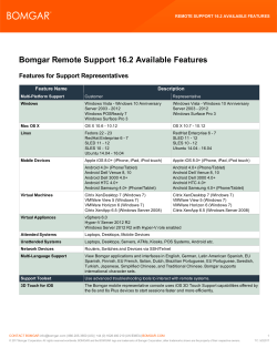 Bomgar Remote Support Available Features
