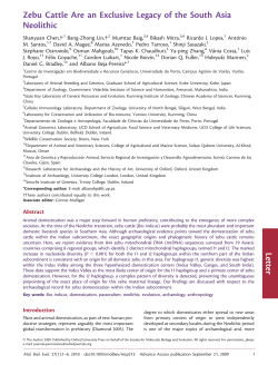 Zebu Cattle Are an Exclusive Legacy of the South Asia Neolithic Letter