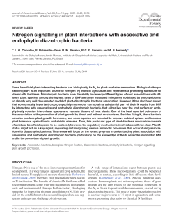 Nitrogen signalling in plant interactions with associative and