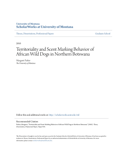 Territoriality and Scent Marking Behavior of African Wild Dogs in
