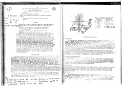 Epiphytic nitrogen fixation on weeds in a rice field ecosystem