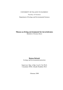 Mosses as living environment for invertebrates