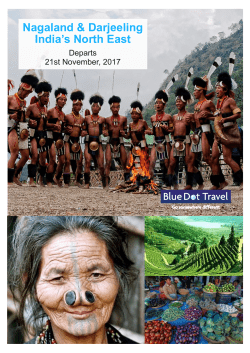 Nagaland 2017 - Blue Dot Travel