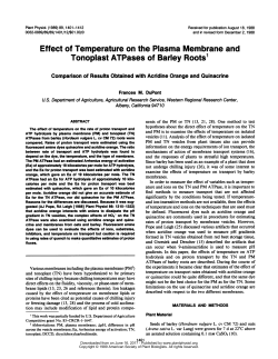 Effect of Temperature on the Plasma Membrane and Tonoplast