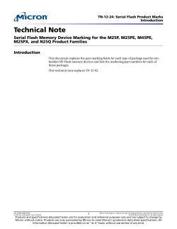 TN-12-24: Serial Flash Product Marks