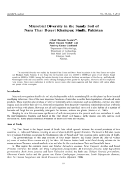 Microbial Diversity in the Sandy Soil of Nara Thar Desert Khairpur