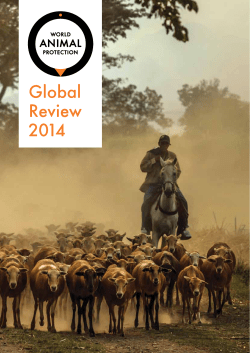 Global Review 2014 - World Animal Protection USA