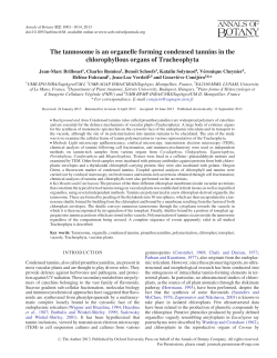 The tannosome is an organelle forming