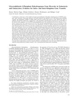 Glyceraldehyde-3-Phosphate Dehydrogenase
