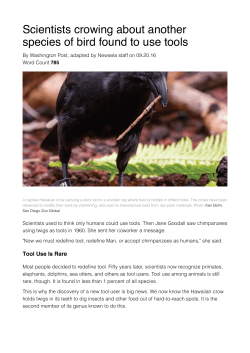 Scientists crowing about another species of bird found to use tools