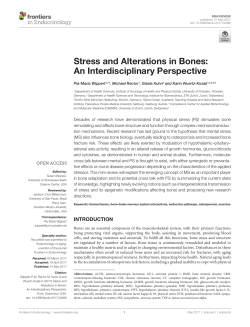 Stress and Alterations in Bones: An Interdisciplinary Perspective