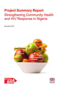 PPA Project Summary Report: strengthening