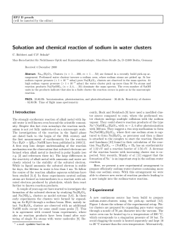 Solvation and chemical reaction of sodium in - Max-Born
