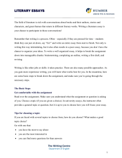LITERARY ESSAYS