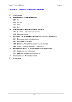 Ambient Air Pollution by Mercury (Hg) - Position Paper