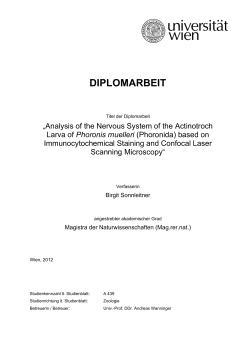 diplomarbeit - E