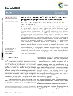 Adsorption of mercury(ii) with an Fe3O4 magnetic