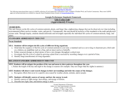 Framework - Life Cycles
