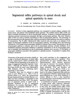 Segmental reflex pathways in spinal shock and spinal