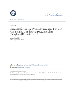 Evidences for Protein-Protein Interactions Between PstB and PhoU