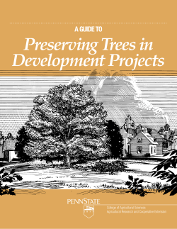Preserving Trees in Development Projects