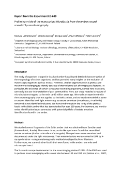 Testate amoebae &ndash; first eukaryotic protists recorded in the Eocene