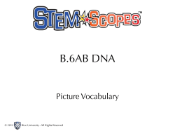 B.6AB DNA