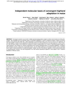 Independent molecular basis of convergent highland adaptation in